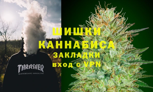 ГАЛЛЮЦИНОГЕННЫЕ ГРИБЫ Алзамай