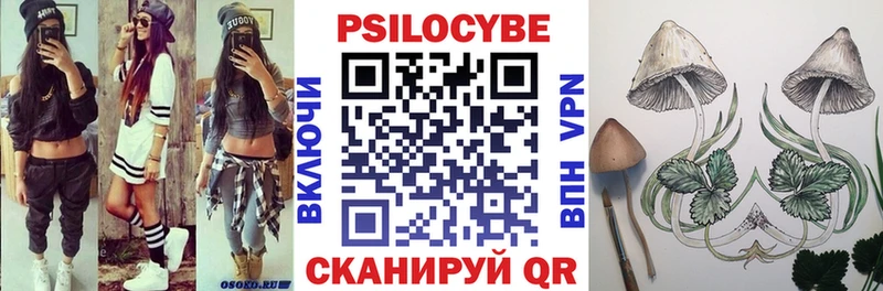 Псилоцибиновые грибы Psilocybine cubensis Сураж